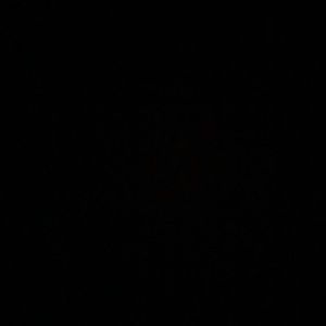 Meet your Posher, Axel